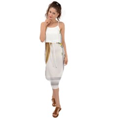 Window Waist Tie Cover Up Chiffon Dress