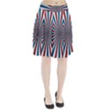 Usa-deco-background Pleated Skirt View1