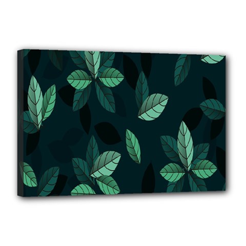 Plant Leaves Canvas 18  X 12  (stretched) by artworkshop