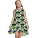 Hackers Town Void Mantis Hexagon Aromantic Pride Flag Kids  Frill Swing Dress View1