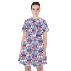 Hackers Town Void Mantis Hexagon Bigender Seven 7 Stripe Pride Flag Sailor Dress by WetdryvacsLair