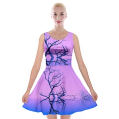 Nature-inspiration-trees-blue Velvet Skater Dress