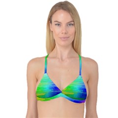 Colors-rainbow-chakras-style Reversible Tri Bikini Top