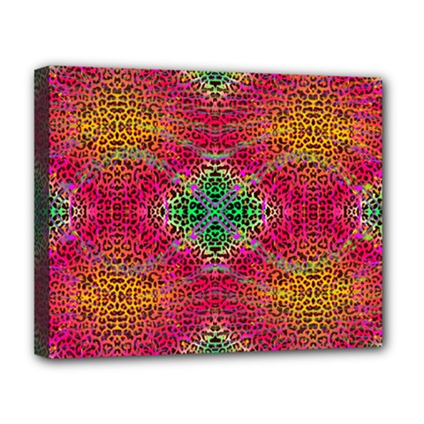 Cheetah Dreams Deluxe Canvas 20  X 16  (stretched)