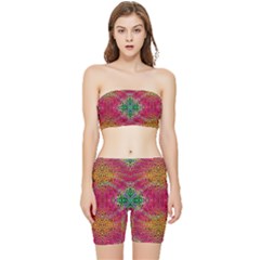 Cheetah Dreams Stretch Shorts And Tube Top Set by Thespacecampers