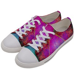 Trinfinite Women s Low Top Canvas Sneakers by Thespacecampers