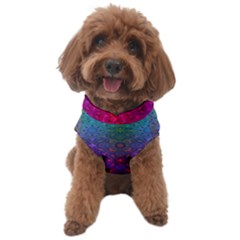 Stained Glass Vision Dog Sweater by Thespacecampers