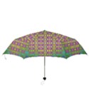 Unidentified  Flying Folding Umbrellas View3