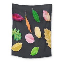 Autumn-b 001 Medium Tapestry