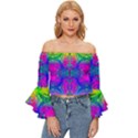 Liquidy Rainbow Off Shoulder Flutter Bell Sleeve Top View1