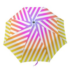 Abstract-lines-mockup-oblique Folding Umbrellas