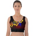 Logo-finance-economy-statistics Velvet Crop Top View1