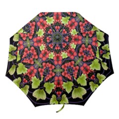 Pattern-berry-red-currant-plant Folding Umbrellas by Jancukart