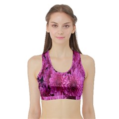 Hd-wallpaper Flower-b 004 Sports Bra With Border by nate14shop