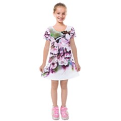 Watercolour-cherry-blossoms Kids  Short Sleeve Velvet Dress