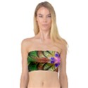 Fractal-abstract-flower-floral- -- Bandeau Top View1