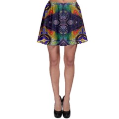 Phronesis-awareness-philosophy Skater Skirt