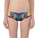 Phronesis-awareness-philosophy Classic Bikini Bottoms View1