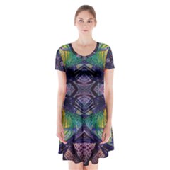 Phronesis-awareness-philosophy Short Sleeve V-neck Flare Dress