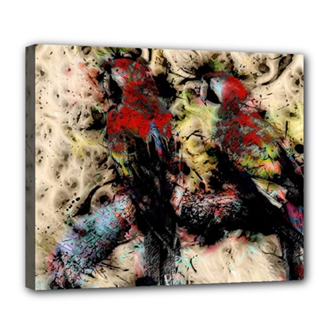 Ara-bird-parrot-animal-art Deluxe Canvas 24  X 20  (stretched)