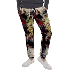 Ara-bird-parrot-animal-art Men s Jogger Sweatpants