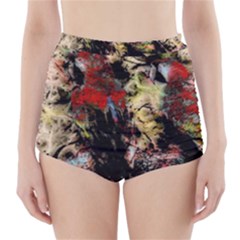 Ara-bird-parrot-animal-art High-waisted Bikini Bottoms