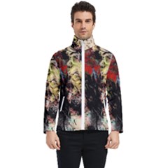 Ara-bird-parrot-animal-art Men s Bomber Jacket