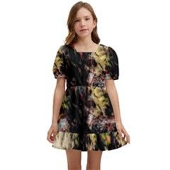 Ara-bird-parrot-animal-art Kids  Short Sleeve Dolly Dress