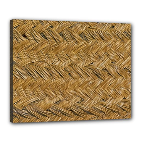 Esparto-tissue-braided-texture Canvas 20  X 16  (stretched)