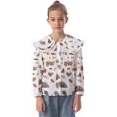 Architecture Kids  Peter Pan Collar Blouse by nate14shop