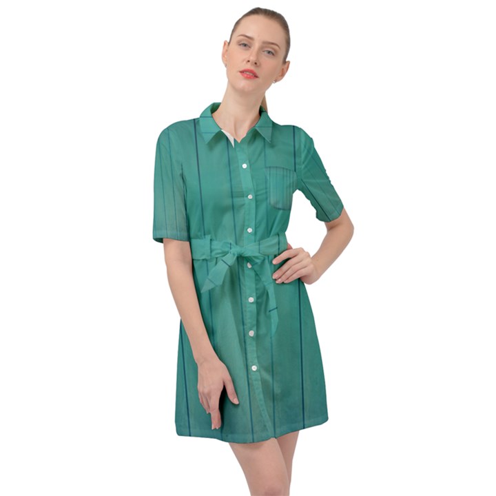 Green Surface  Belted Shirt Dress