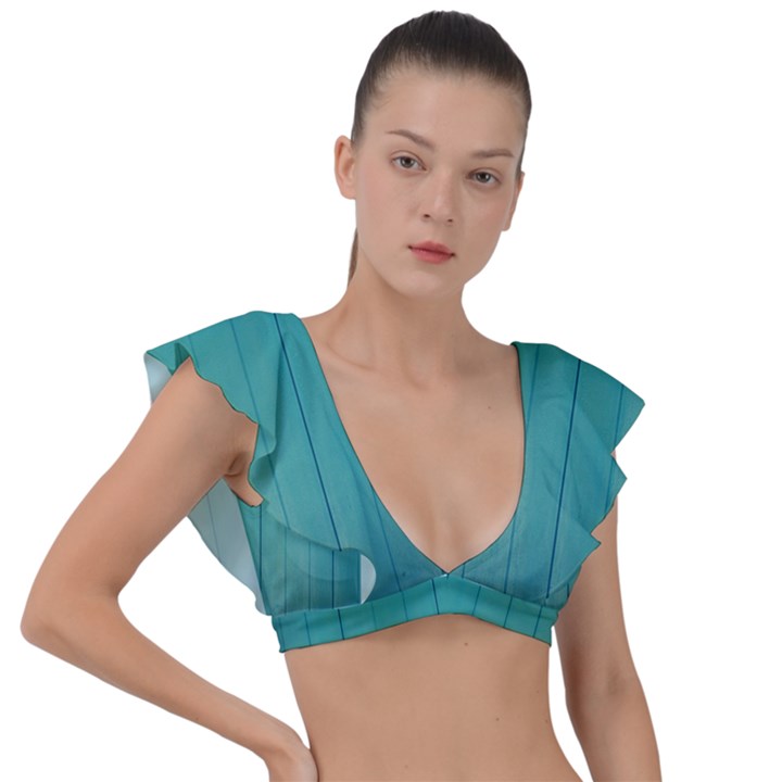 Green Surface  Plunge Frill Sleeve Bikini Top