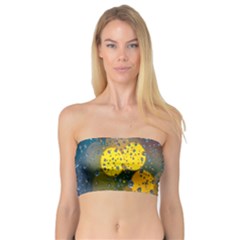  Raindrops Window Glass Bandeau Top by artworkshop