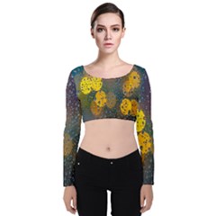  Raindrops Window Glass Velvet Long Sleeve Crop Top by artworkshop