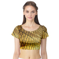 Chain Link Fence Sunset Wire Steel Fence Short Sleeve Crop Top by artworkshop