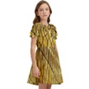 Chain Link Fence Sunset Wire Steel Fence Kids  Bow Tie Puff Sleeve Dress View2