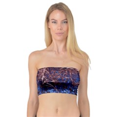 Autumn Fractal Forest Background Bandeau Top by Amaryn4rt