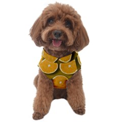 Oranges Slices  Pattern Dog Sweater by artworkshop