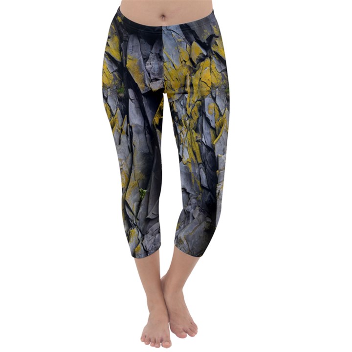 Rock Wall Crevices Geology Pattern Shapes Texture Capri Winter Leggings 