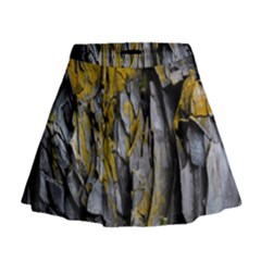 Rock Wall Crevices Geology Pattern Shapes Texture Mini Flare Skirt by artworkshop