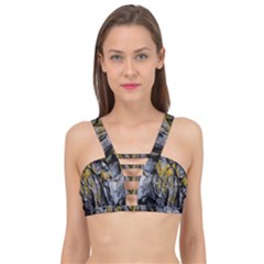 Rock Wall Crevices Geology Pattern Shapes Texture Cage Up Bikini Top by artworkshop