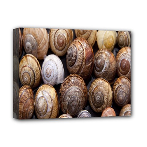 Snail Shells Pattern Arianta Arbustorum Deluxe Canvas 16  X 12  (stretched)  by artworkshop