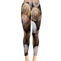 Snail Shells Pattern Arianta Arbustorum Leggings  by artworkshop