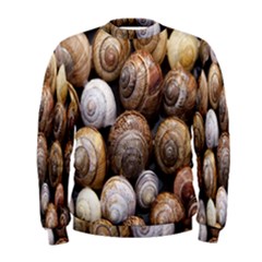 Snail Shells Pattern Arianta Arbustorum Men s Sweatshirt by artworkshop