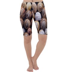 Snail Shells Pattern Arianta Arbustorum Cropped Leggings  by artworkshop