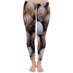 Snail Shells Pattern Arianta Arbustorum Classic Winter Leggings