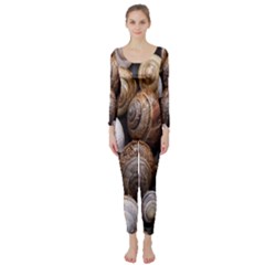 Snail Shells Pattern Arianta Arbustorum Long Sleeve Catsuit by artworkshop