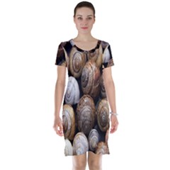 Snail Shells Pattern Arianta Arbustorum Short Sleeve Nightdress by artworkshop