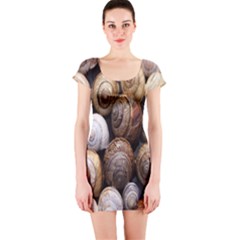 Snail Shells Pattern Arianta Arbustorum Short Sleeve Bodycon Dress by artworkshop