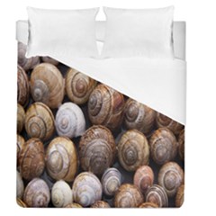 Snail Shells Pattern Arianta Arbustorum Duvet Cover (queen Size) by artworkshop